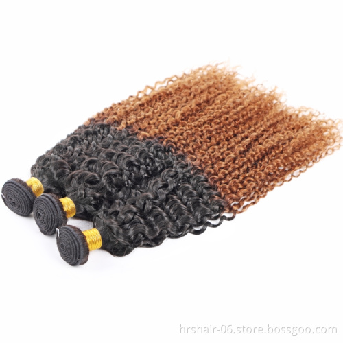 T1b/30 Color Jerry Curly Brazilian Hair Bundles With Closure Vendors Cuticle Aligned Virgin Human Hair Wholesales Extension
